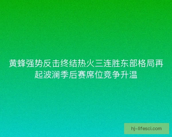黄蜂强势反击终结热火三连胜东部格局再起波澜季后赛席位竞争升温